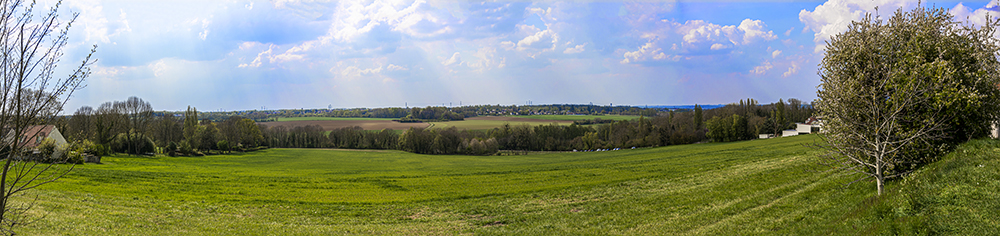 panorama